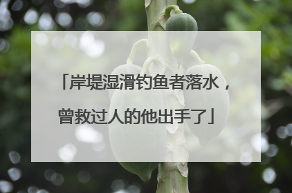 岸堤湿滑钓鱼者落水，曾救过人的他出手了
