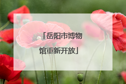 岳阳市博物馆重新开放
