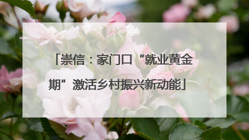 崇信：家门口“就业黄金期”激活乡村振兴新动能