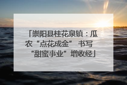 崇阳县桂花泉镇：瓜农“点花成金” 书写“甜蜜事业”增收经