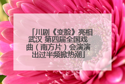 川剧《变脸》亮相武汉 第四届全国戏曲（南方片）会演演出过半频掀热潮