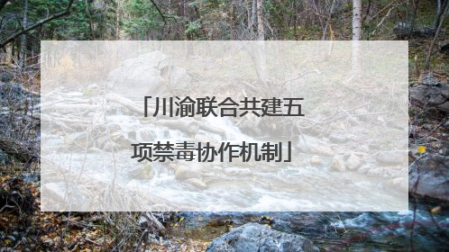 川渝联合共建五项禁毒协作机制