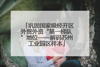 巩固国家级经开区外贸外资“第一梯队”地位——解码苏州工业园区样本