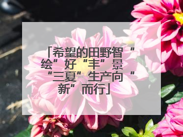 希望的田野智“绘”好“丰”景 “三夏”生产向“新”而行