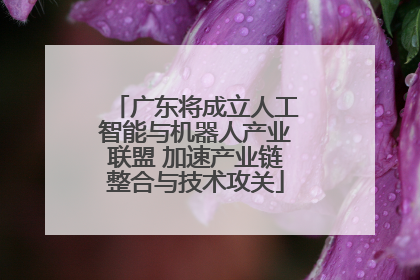 广东将成立人工智能与机器人产业联盟 加速产业链整合与技术攻关