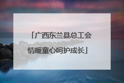 广西东兰县总工会情暖童心呵护成长