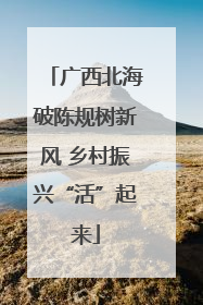 广西北海破陈规树新风 乡村振兴“活”起来