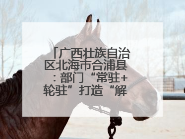 广西壮族自治区北海市合浦县：部门“常驻+轮驻”打造“解纷联合舰队”