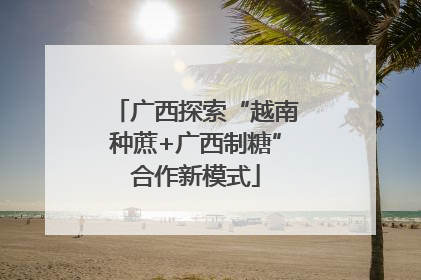 广西探索“越南种蔗+广西制糖”合作新模式