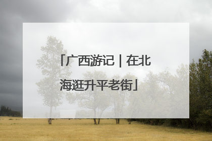 广西游记｜在北海逛升平老街