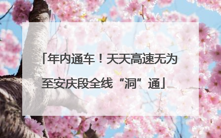 年内通车！天天高速无为至安庆段全线“洞”通