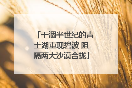 干涸半世纪的青土湖重现碧波 阻隔两大沙漠合拢