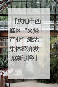 庆阳市西峰区“火辣产业”激活集体经济发展新引擎