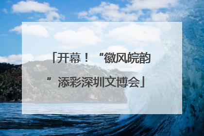 开幕！“徽风皖韵”添彩深圳文博会
