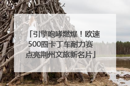 引擎咆哮燃爆！欧速500圈卡丁车耐力赛点亮荆州文旅新名片