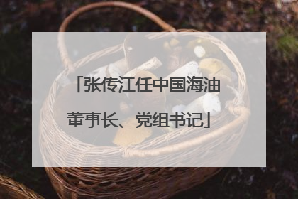 张传江任中国海油董事长、党组书记