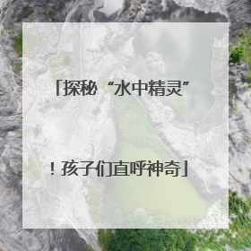 探秘“水中精灵”！孩子们直呼神奇