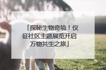 探秘生物奇境！仪征社区主题展览开启万物共生之旅