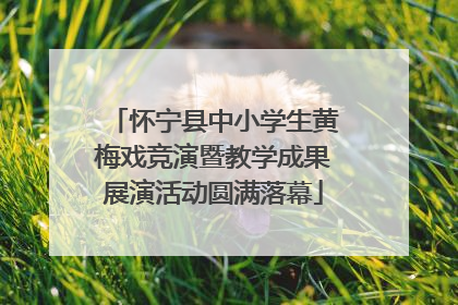 怀宁县中小学生黄梅戏竞演暨教学成果展演活动圆满落幕