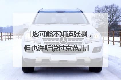 您可能不知道张鹏，但也许听说过京范儿