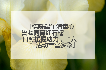 情暖端午润童心 鲁疆同育红石榴——日照援疆助力，“六一”活动丰富多彩