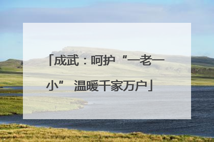 成武：呵护“一老一小” 温暖千家万户