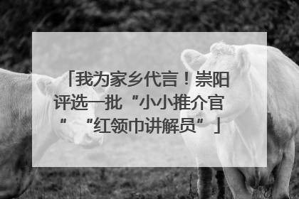 我为家乡代言！崇阳评选一批“小小推介官”“红领巾讲解员”