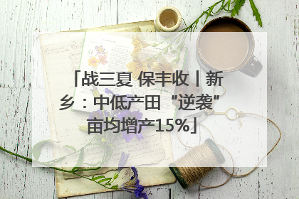 战三夏 保丰收丨新乡：中低产田“逆袭” 亩均增产15%