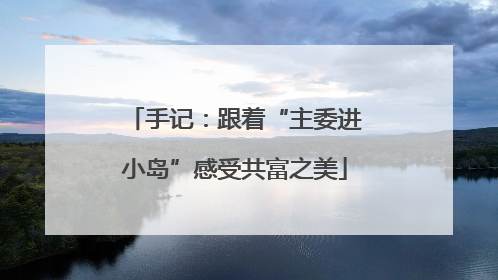 手记：跟着“主委进小岛”感受共富之美