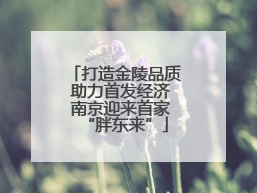 打造金陵品质 助力首发经济 南京迎来首家“胖东来”