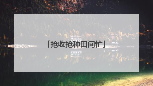 抢收抢种田间忙