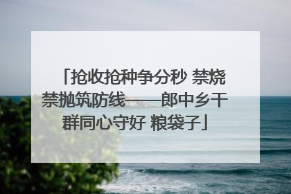 抢收抢种争分秒 禁烧禁抛筑防线——郎中乡干群同心守好 粮袋子