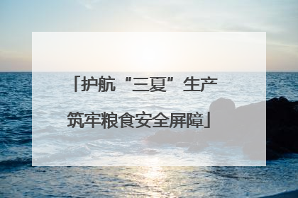 护航“三夏”生产 筑牢粮食安全屏障