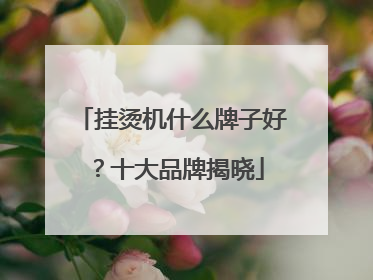 挂烫机什么牌子好？十大品牌揭晓