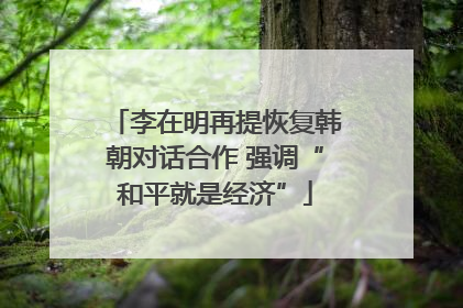 李在明再提恢复韩朝对话合作 强调“和平就是经济”