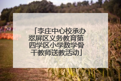 李庄中心校承办翠屏区义务教育第四学区小学数学骨干教师送教活动