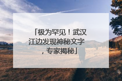 极为罕见！武汉江边发现神秘文字，专家揭秘