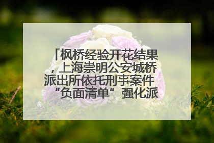 枫桥经验开花结果，上海崇明公安城桥派出所依托刑事案件“负面清单”强化派出所“主防”