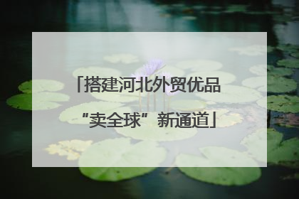 搭建河北外贸优品“卖全球”新通道