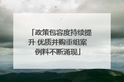 政策包容度持续提升 优质并购重组案例料不断涌现