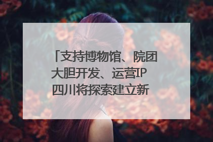 支持博物馆、院团大胆开发、运营IP 四川将探索建立新的收入分配激励机制｜新闻发布最前线
