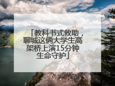 教科书式救助，聊城这俩大学生高架桥上演15分钟生命守护