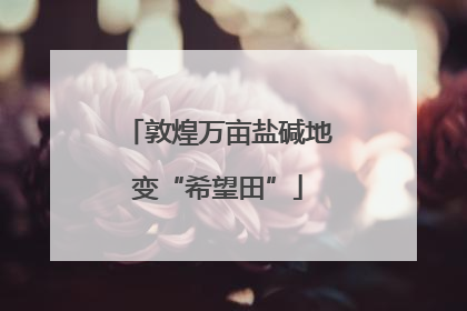 敦煌万亩盐碱地变“希望田”