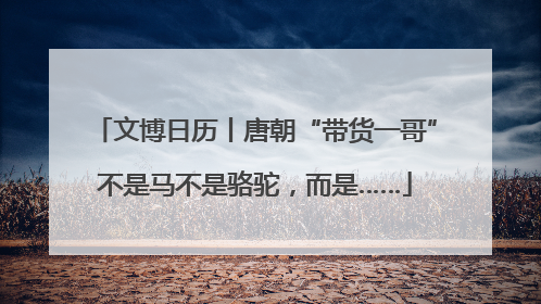 文博日历丨唐朝“带货一哥”不是马不是骆驼，而是……