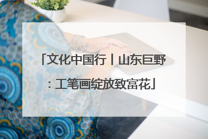 文化中国行丨山东巨野：工笔画绽放致富花