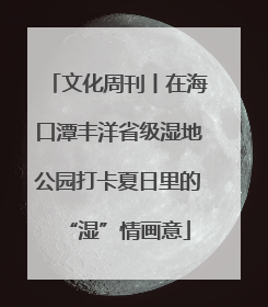 文化周刊丨在海口潭丰洋省级湿地公园打卡夏日里的“湿”情画意