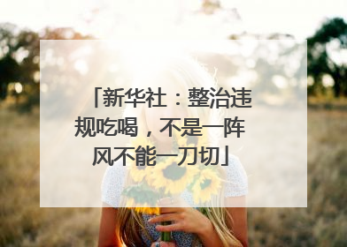新华社：整治违规吃喝，不是一阵风不能一刀切