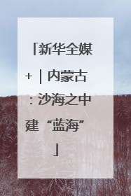 新华全媒+｜内蒙古：沙海之中建“蓝海”