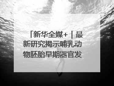 新华全媒+｜最新研究揭示哺乳动物胚胎早期器官发育“密码”