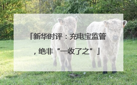 新华时评：充电宝监管，绝非“一收了之”